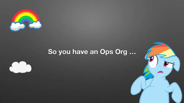 So you have an Ops Org …
