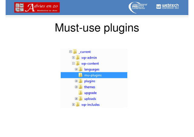Must-use plugins
