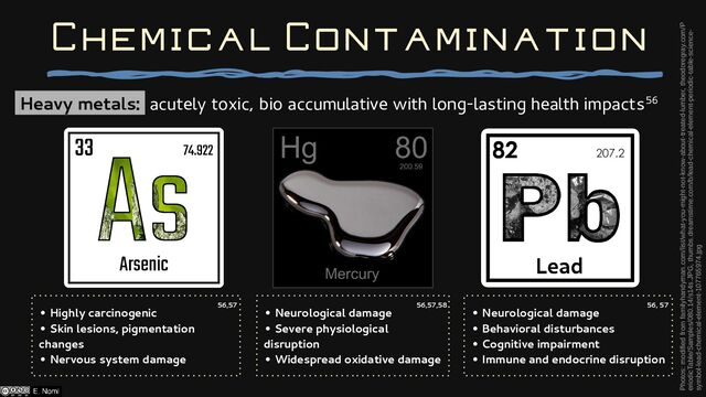Heavy metals: acutely toxic, bio accumulative with long-lasting health impacts56
Photos: modified from familyhandyman.com/list/what-you-might-not-know-about-treated-lumber, theodoregray.com/P
eriodicTable/Samples/080.14/s14s.JPG, thumbs.dreamstime.com/b/lead-chemical-element-periodic-table-science-
symbol-lead-chemical-element-107765974.jpg
• Highly carcinogenic
• Skin lesions, pigmentation
changes
• Nervous system damage
• Neurological damage
• Severe physiological
disruption
• Widespread oxidative damage
• Neurological damage
• Behavioral disturbances
• Cognitive impairment
• Immune and endocrine disruption
56,57 56,57,58 56, 57
Chemical Contamination
