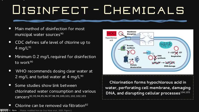 ● Main method of disinfection for most
municipal water sources90
● CDC defines safe level of chlorine up to
4 mg/L91
● Minimum 0.2 mg/L required for disinfection
to work90
● WHO recommends dosing clear water at
2 mg/L and turbid water at 4 mg/L90
● Some studies show link between
chlorinated water consumption and various
cancers92,93,94,95,96,97,98,99,100,101,102,102,103
● Chlorine can be removed via filtration82
Disinfect - Chemicals
Photos: modified from da Cruz Nizer et al., 2020, Figure 2.
Chlorination forms hypochlorous acid in
water, perforating cell membrane, damaging
DNA, and disrupting cellular processes104,105
