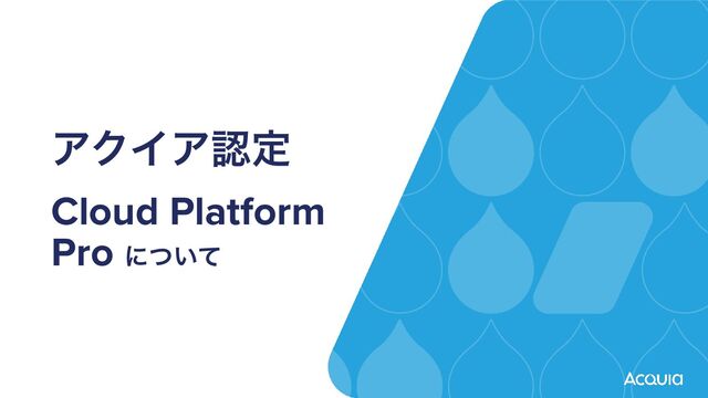 ΞΫΠΞೝఆ
Cloud Platform
Pro ʹ͍ͭͯ
