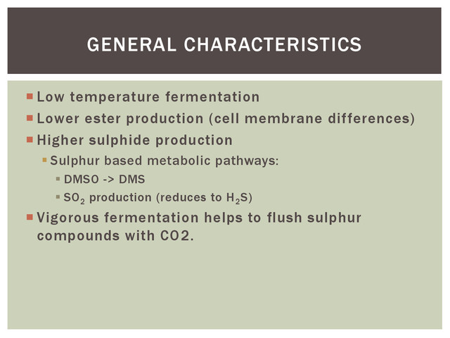  Low temperature fermentation
 Lower ester production (cell membrane differences)
 Higher sulphide production
 Sulphur based metabolic pathways:
 DMSO -> DMS
 SO2
production (reduces to H2
S)
 Vigorous fermentation helps to flush sulphur
compounds with CO2.
GENERAL CHARACTERISTICS
