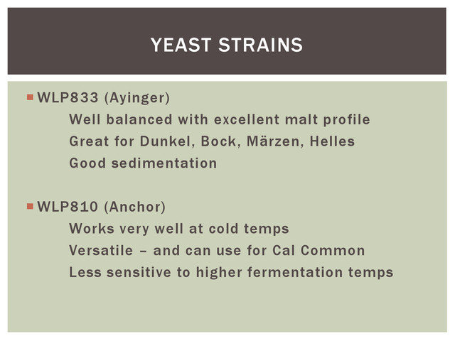  WLP833 (Ayinger)
Well balanced with excellent malt profile
Great for Dunkel, Bock, Märzen, Helles
Good sedimentation
 WLP810 (Anchor)
Works very well at cold temps
Versatile – and can use for Cal Common
Less sensitive to higher fermentation temps
YEAST STRAINS
