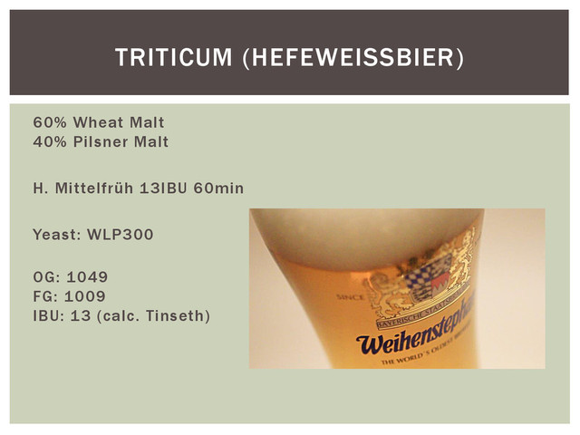 60% Wheat Malt
40% Pilsner Malt
H. Mittelfrüh 13IBU 60min
Yeast: WLP300
OG: 1049
FG: 1009
IBU: 13 (calc. Tinseth)
TRITICUM (HEFEWEISSBIER)
