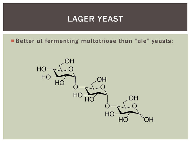  Better at fermenting maltotriose than “ale” yeasts:
LAGER YEAST
