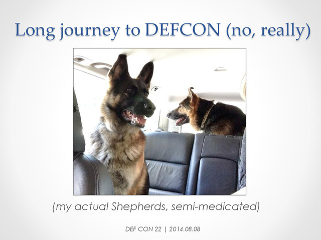 Long  journey  to  DEFCON  (no,  really)	
DEF CON 22 | 2014.08.08
(my actual Shepherds, semi-medicated)
