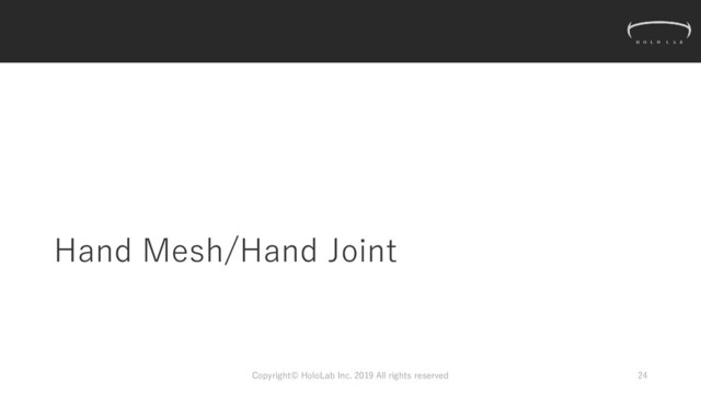Hand Mesh/Hand Joint
Copyright© HoloLab Inc. 2019 All rights reserved 24
