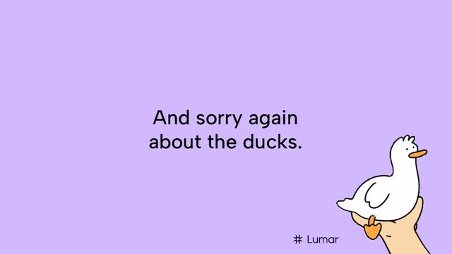 And sorry again
about the ducks.
