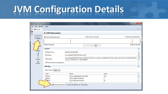 JVM Configuration Details
