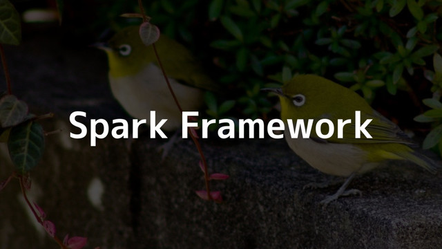 Spark Framework
