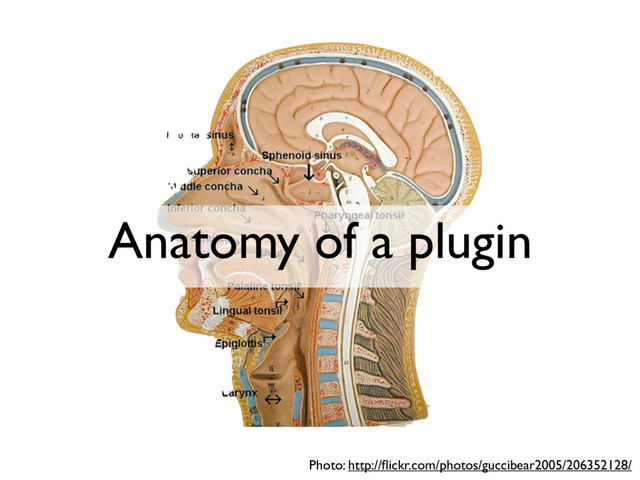 Anatomy of a plugin
Photo: http://ﬂickr.com/photos/guccibear2005/206352128/
