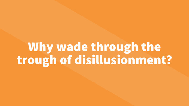 Why wade through the
trough of disillusionment?
