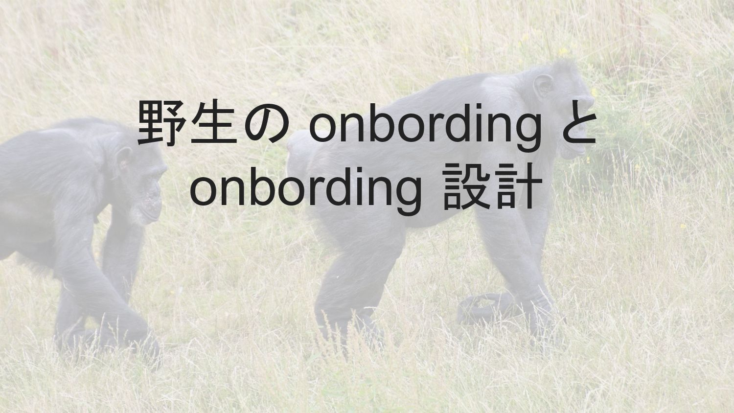 野生の onbording と onbording 設計