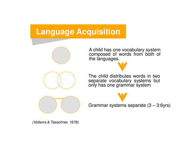 Language Acquisition
(Volterra & Taeschner, 1978)
A child has one vocabulary system
composed of words from both of
the languages.
The child distributes words in two
separate vocabulary systems but
only has one grammar system
Grammar systems separate (3 – 3:6yrs)
