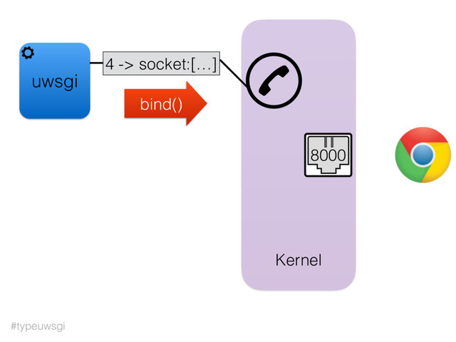 #typeuwsgi
uwsgi
Kernel
4 -> socket:[…]
bind()
8000
