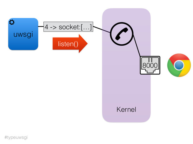 #typeuwsgi
uwsgi
Kernel
4 -> socket:[…]
listen()
8000
