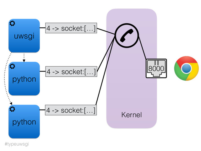 #typeuwsgi
uwsgi
Kernel
4 -> socket:[…]
8000
python
python
4 -> socket:[…]
4 -> socket:[…]
