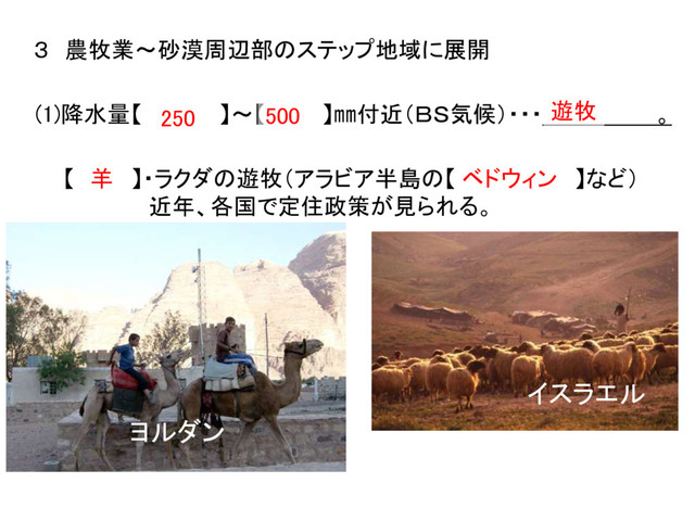 ３ 農牧業～砂漠周辺部のステップ地域に展開
(1)降水量【 】～【 】㎜付近（ＢＳ気候）・・・ 。
【 】・ラクダの遊牧（アラビア半島の【 】など）
近年、各国で定住政策が見られる。
250 500 遊牧
羊 ベドウィン
イスラエル
ヨルダン
