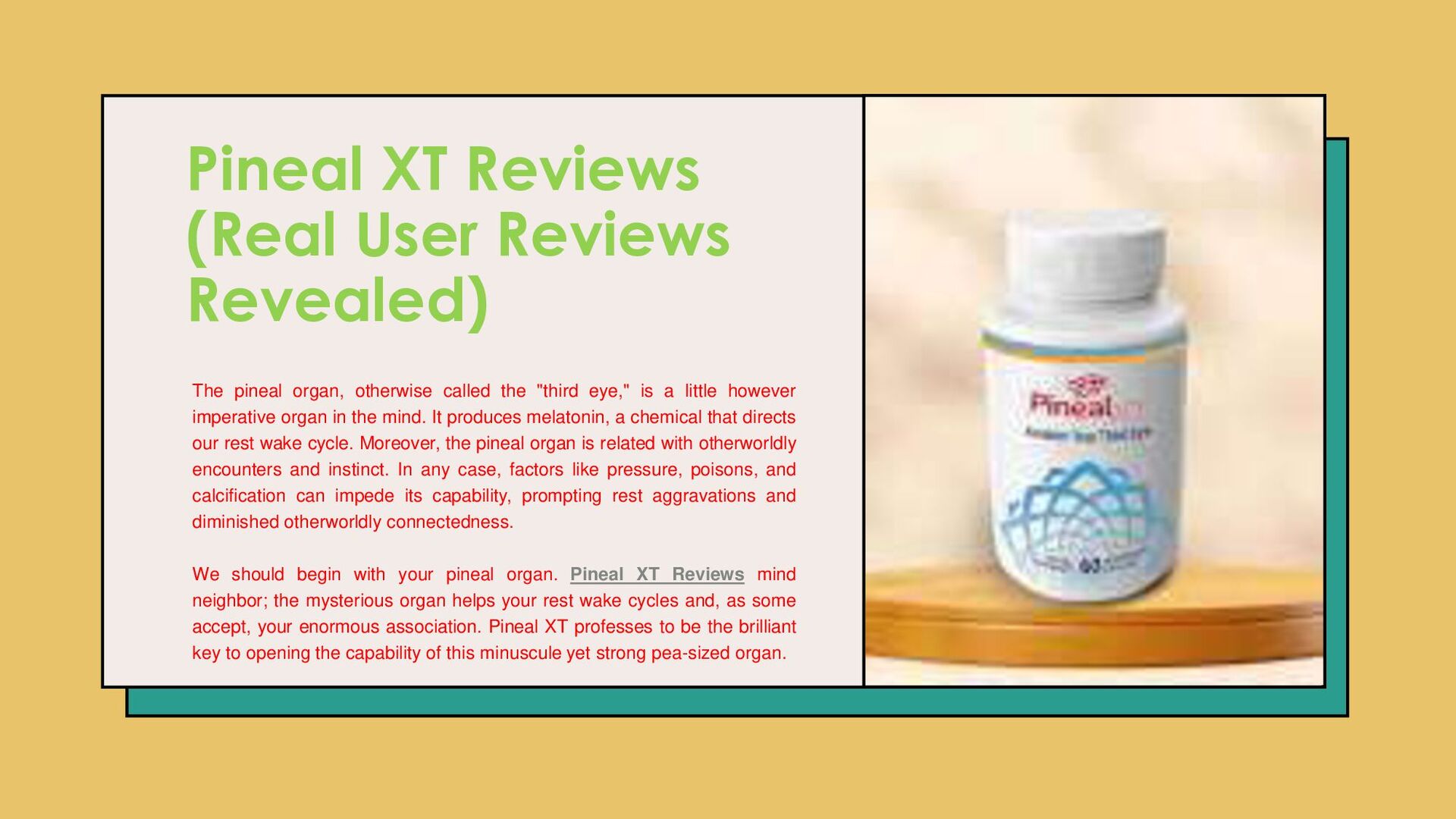 Alamdarentprogramorg Real User Reviews Results - gki00fg
