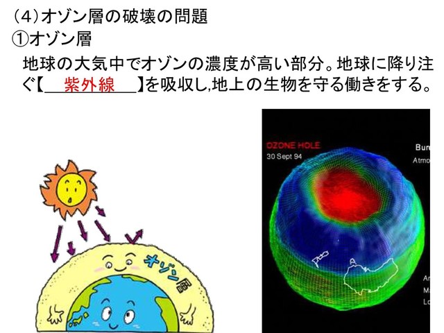 （４）オゾン層の破壊の問題
①オゾン層
地球の大気中でオゾンの濃度が高い部分。地球に降り注
ぐ【 】を吸収し,地上の生物を守る働きをする。
紫外線
