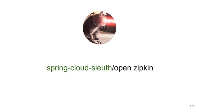 spring-cloud-sleuth/open zipkin
479
