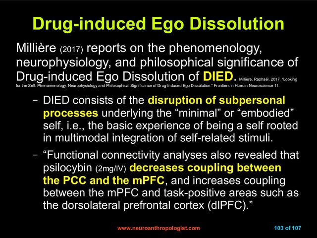 www.neuroanthropologist.com
www.neuroanthropologist.com 103 of 107
Drug-induced Ego Dissolution
Drug-induced Ego Dissolution
Millière (2017)
reports on the phenomenology,
neurophysiology, and philosophical significance of
Drug-induced Ego Dissolution of DIED.
Millière, Raphaël. 2017. “Looking
for the Self: Phenomenology, Neurophysiology and Philosophical Significance of Drug-Induced Ego Dissolution.” Frontiers in Human Neuroscience 11.
– DIED consists of the disruption of subpersonal
processes underlying the “minimal” or “embodied”
self, i.e., the basic experience of being a self rooted
in multimodal integration of self-related stimuli.
– “Functional connectivity analyses also revealed that
psilocybin (2mg/IV) decreases coupling between
the PCC and the mPFC, and increases coupling
between the mPFC and task-positive areas such as
the dorsolateral prefrontal cortex (dlPFC).”
