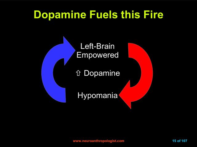 www.neuroanthropologist.com
www.neuroanthropologist.com 15 of 107
Dopamine Fuels this Fire
Dopamine Fuels this Fire
 Dopamine
Left-Brain
Empowered
Hypomania
