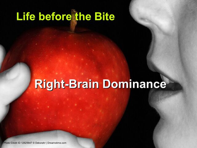 www.neuroanthropologist.com
www.neuroanthropologist.com 29 of 107
Life before the Bite
Life before the Bite
Photo Credit ID 12625647 © Deborahr | Dreamstime.com
Right-Brain Dominance
Right-Brain Dominance
