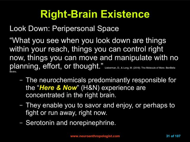 www.neuroanthropologist.com
www.neuroanthropologist.com 31 of 107
Right-Brain Existence
Right-Brain Existence
Look Down: Peripersonal Space
“What you see when you look down are things
within your reach, things you can control right
now, things you can move and manipulate with no
planning, effort, or thought.”
Lieberman, D., & Long, M. (2018). The Molecule of More. BenBella
Books.
– The neurochemicals predominantly responsible for
the “Here & Now” (H&N) experience are
concentrated in the right brain.
– They enable you to savor and enjoy, or perhaps to
fight or run away, right now.
– Serotonin and norepinephrine.
