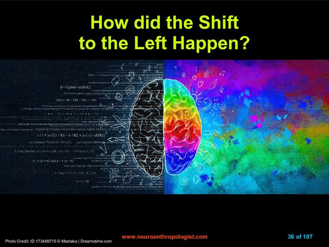 www.neuroanthropologist.com
www.neuroanthropologist.com 36 of 107
Photo Credit: ID 173489715 © Mastaka | Dreamstime.com
How did the Shift
How did the Shift
to the Left Happen?
to the Left Happen?
