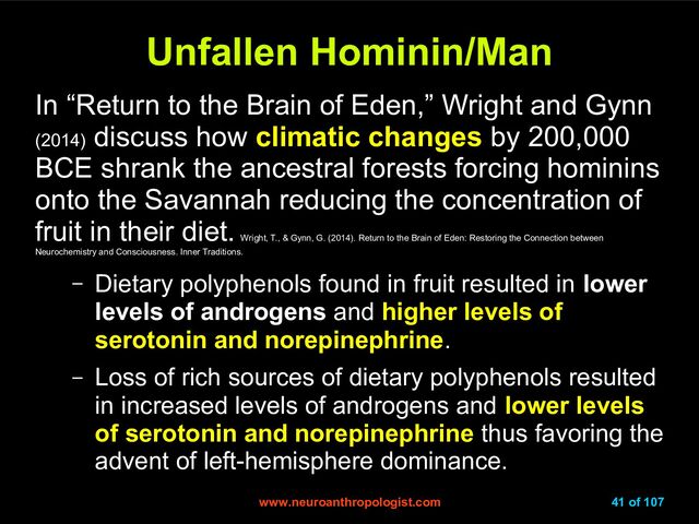 www.neuroanthropologist.com
www.neuroanthropologist.com 41 of 107
Unfallen Hominin/Man
Unfallen Hominin/Man
In “Return to the Brain of Eden,” Wright and Gynn
(2014)
discuss how climatic changes by 200,000
BCE shrank the ancestral forests forcing hominins
onto the Savannah reducing the concentration of
fruit in their diet.
Wright, T., & Gynn, G. (2014). Return to the Brain of Eden: Restoring the Connection between
Neurochemistry and Consciousness. Inner Traditions.
– Dietary polyphenols found in fruit resulted in lower
levels of androgens and higher levels of
serotonin and norepinephrine.
– Loss of rich sources of dietary polyphenols resulted
in increased levels of androgens and lower levels
of serotonin and norepinephrine thus favoring the
advent of left-hemisphere dominance.
