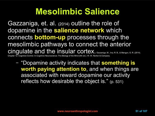 www.neuroanthropologist.com
www.neuroanthropologist.com 51 of 107
Mesolimbic Salience
Mesolimbic Salience
Gazzaniga, et. al. (2014)
outline the role of
dopamine in the salience network which
connects bottom-up processes through the
mesolimbic pathways to connect the anterior
cingulate and the insular cortex.
Gazzaniga, M., Ivry, R. B., & Mangun, G. R. (2014).
Chapter 12: Cognitive Control. In Cognitive Neuroscience: The Biology of the Mind (4th ed.). W. W. Norton & Company.
– “Dopamine activity indicates that something is
worth paying attention to, and when things are
associated with reward dopamine our activity
reflects how desirable the object is.” (p. 531)
