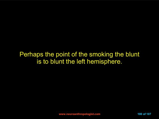 www.neuroanthropologist.com
www.neuroanthropologist.com 100 of 107
Perhaps the point of the smoking the blunt
is to blunt the left hemisphere.
