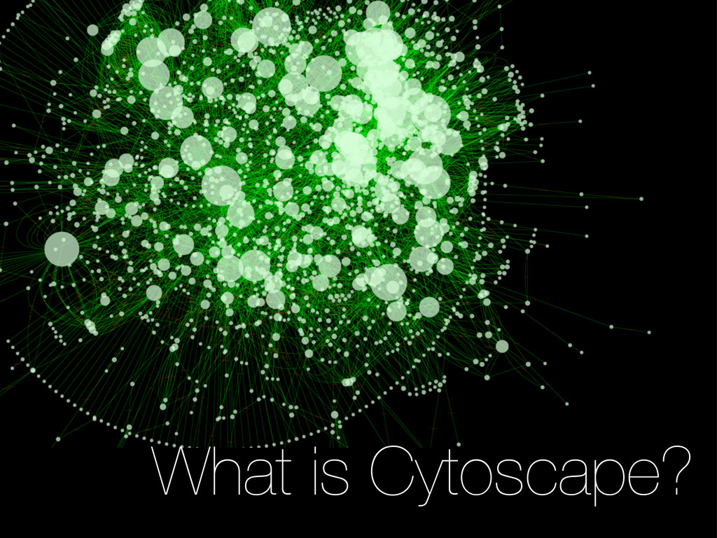 using cytoscape