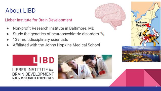About LIBD
Lieber Institute for Brain Development
● Non-proﬁt Research Institute in Baltimore, MD
● Study the genetics of neuropsychiatric disorders 🧬
● 139 multidisciplinary scientists
● Aﬃliated with the Johns Hopkins Medical School
2
Baltimore
Maryland 🔸
