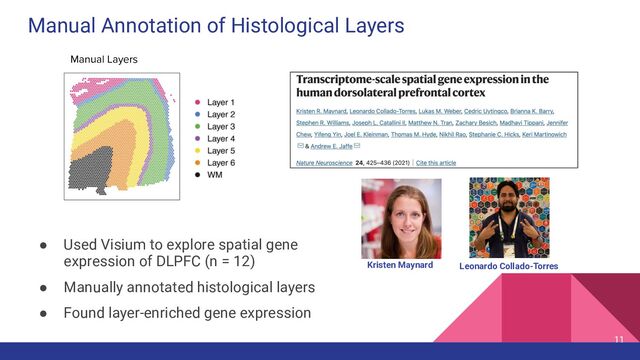 Manual Annotation of Histological Layers
● Used Visium to explore spatial gene
expression of DLPFC (n = 12)
● Manually annotated histological layers
● Found layer-enriched gene expression
11
Manual Layers
Kristen Maynard Leonardo Collado-Torres
