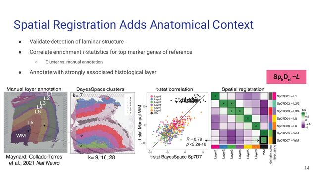 Spatial Registration Adds Anatomical Context
● Validate detection of laminar structure
● Correlate enrichment t-statistics for top marker genes of reference
○ Cluster vs. manual annotation
● Annotate with strongly associated histological layer
14
Sp
k
D
d
~L
