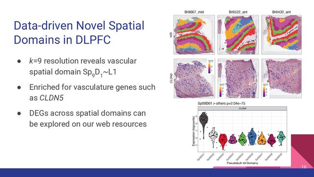Data-driven Novel Spatial
Domains in DLPFC
● k=9 resolution reveals vascular
spatial domain Sp
9
D
1
~L1
● Enriched for vasculature genes such
as CLDN5
● DEGs across spatial domains can
be explored on our web resources
16
