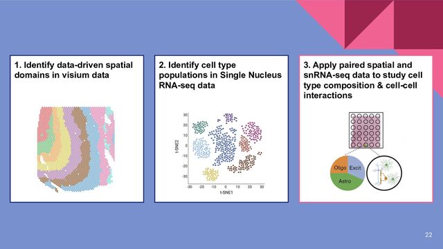 22
1. Identify data-driven spatial
domains in visium data
3. Apply paired spatial and
snRNA-seq data to study cell
type composition & cell-cell
interactions
2. Identify cell type
populations in Single Nucleus
RNA-seq data
