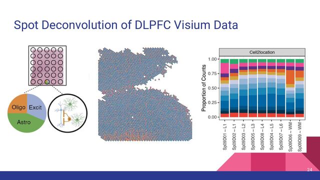 Spot Deconvolution of DLPFC Visium Data
24
