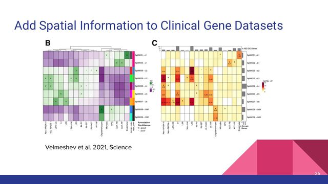 Add Spatial Information to Clinical Gene Datasets
26
Velmeshev et al. 2021, Science
