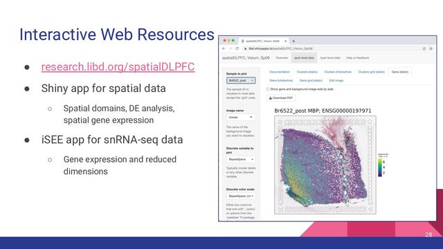 Interactive Web Resources
● research.libd.org/spatialDLPFC
● Shiny app for spatial data
○ Spatial domains, DE analysis,
spatial gene expression
● iSEE app for snRNA-seq data
○ Gene expression and reduced
dimensions
28
