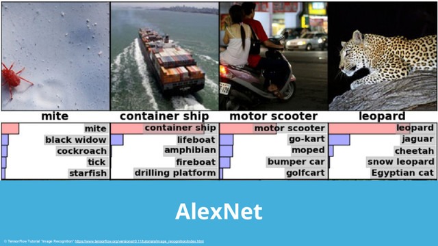 AlexNet
© TensorFlow Tutorial “Image Recognition” https://www.tensorflow.org/versions/r0.11/tutorials/image_recognition/index.html
