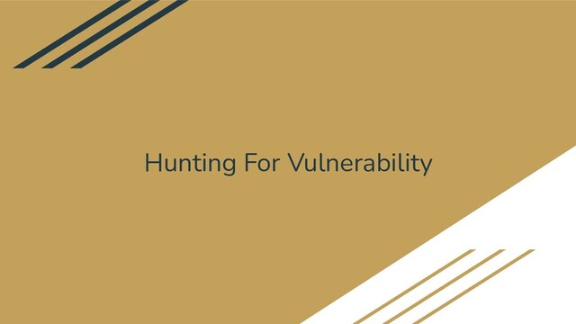 Hunting For Vulnerability
