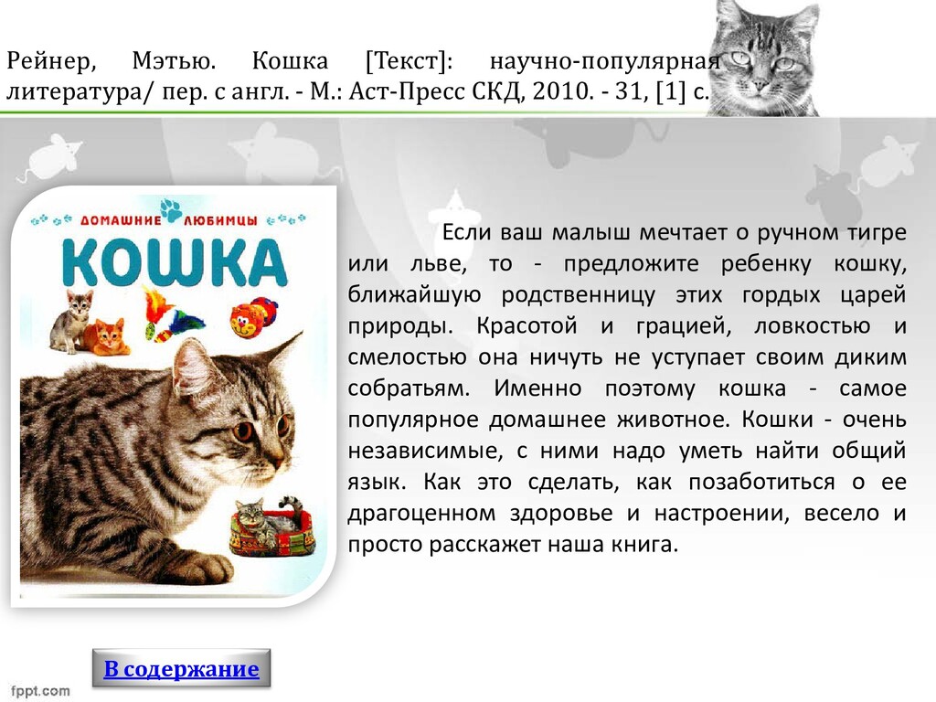 Ближайшая кошка