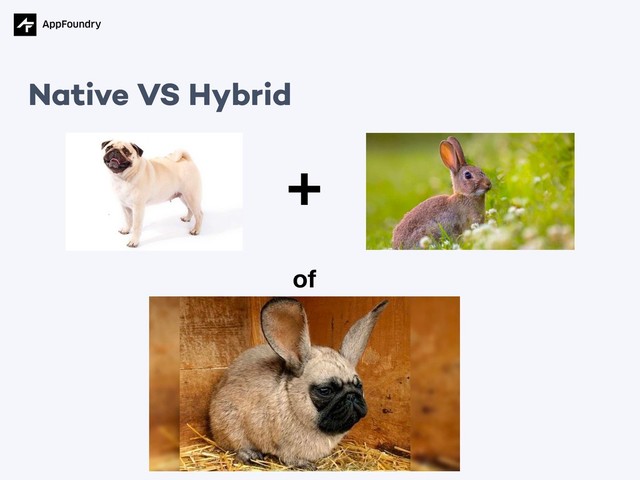 Native VS Hybrid
+
of

