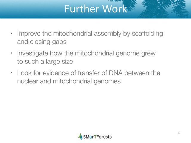 Further	  Work
• Improve the mitochondrial assembly by scaffolding 
and closing gaps
• Investigate how the mitochondrial genome grew 
to such a large size
• Look for evidence of transfer of DNA between the
nuclear and mitochondrial genomes
17
