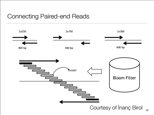 Connecting Paired-end Reads
20
2x250 2x150 2x300
400 bp 500 bp 600 bp
Exists?
Bloom Filter
Courtesy of İnanç Birol
