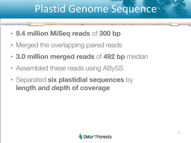 Plastid	  Genome	  Sequence
• 9.4 million MiSeq reads of 300 bp
• Merged the overlapping paired reads
• 3.0 million merged reads of 492 bp median
• Assembled these reads using ABySS
• Separated six plastidial sequences by 
length and depth of coverage
21
