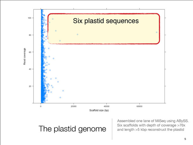The plastid genome
Assembled one lane of MiSeq using ABySS.

Six scaﬀolds with depth of coverage >70x
and length >5 kbp reconstruct the plastid
5
Six plastid sequences

